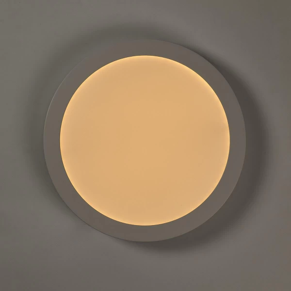 Wi-Fi Smart Plafondlamp | Rond | ø 30 cm | Warm tot Koel Wit | 1400 lm | 18 W | Slank Design | Aluminium - Afbeelding 8