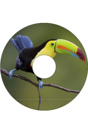 Spaakbeschermer Toekan (Nr.3318)