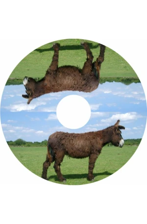 Spaakbeschermer Ezel (Nr.3325)