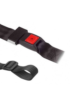 Gordel met pensluiting 50mm, 1.90cm lang (nieuwe prijsvoering)